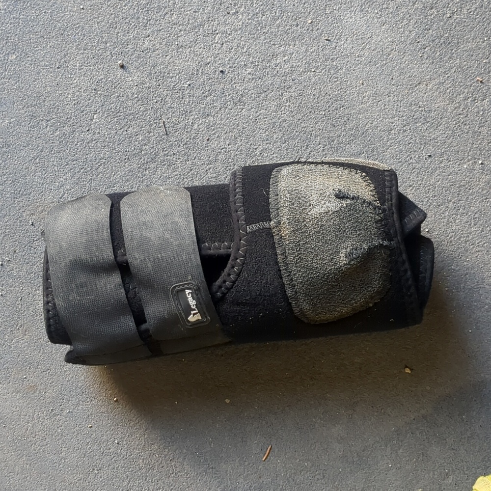 Classic Equine Legacy Hind Horse Boots Size Large